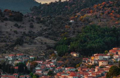 ΑΝeΜΙ - Photo 49