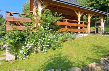 Świerkowy Zakątek u Bacy - Foto 27