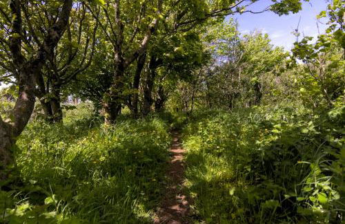 The Workshop- Eco Cottage by the Coastal Path - Photo 42