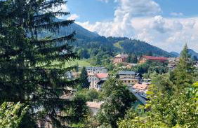 Villa Rosa Tarvisio - Foto 52