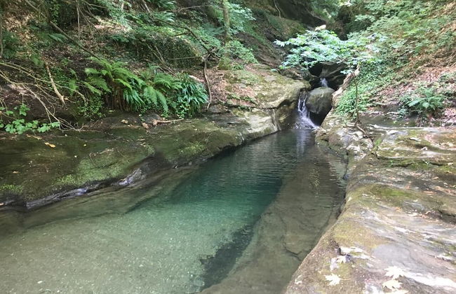 Villa Thea - Foto 16