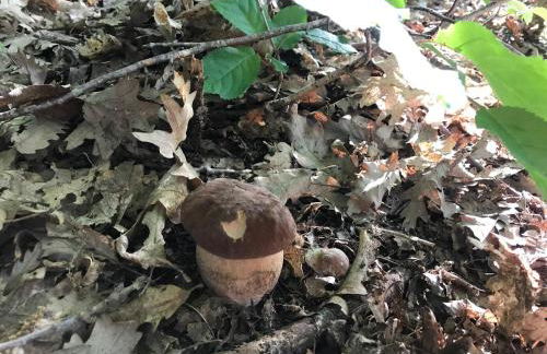 Ma. De House Lago del Turano - Foto 56