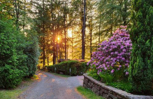 Thüringer Waldbaude - Foto 1