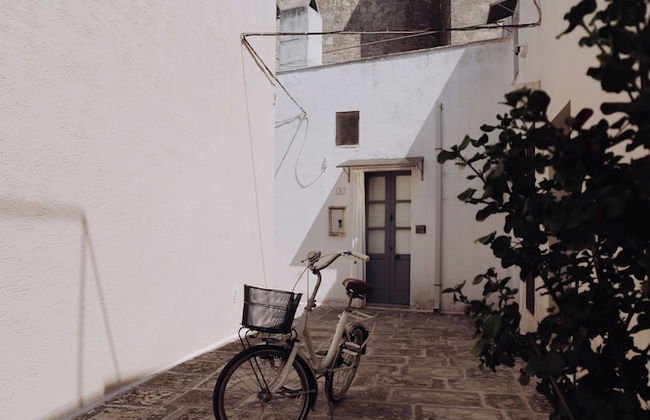 I Tre Bacili - Foto 65