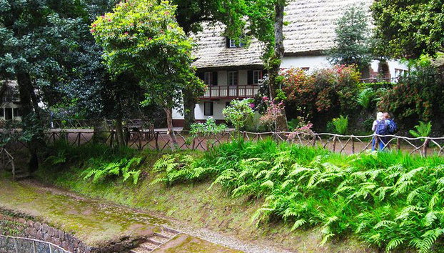 Caminata a Levada do Caldeirão Verde desde Funchal - Foto 5