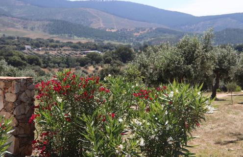 Casa da Pedra-Quinta do Briando - Foto 25