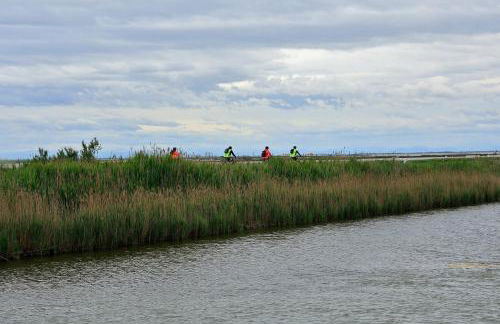 Beach holiday Delfini - Foto 47