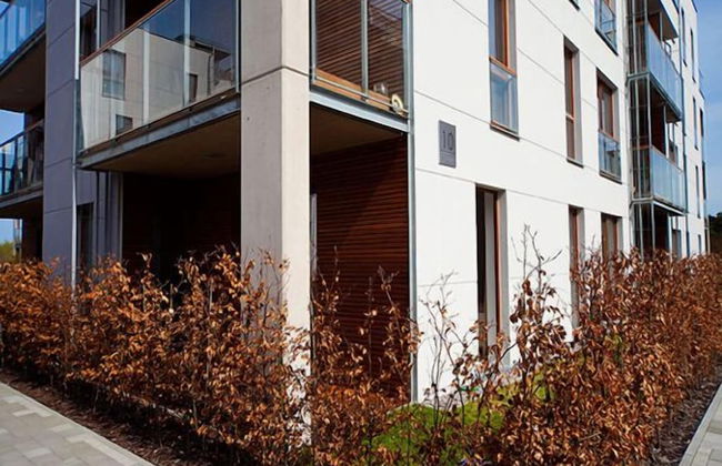 IRS ROYAL APARTMENTS - IRS Nadmorski Dwór - Foto 56