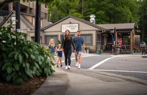 The Getaway Blowing Rock - Foto 45