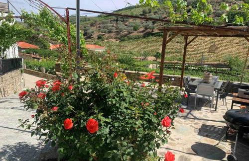 Valadouro Cottage Douro Vallée - Foto 68