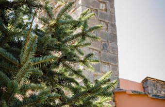 Kalavryta Grand Residence - Photo 67