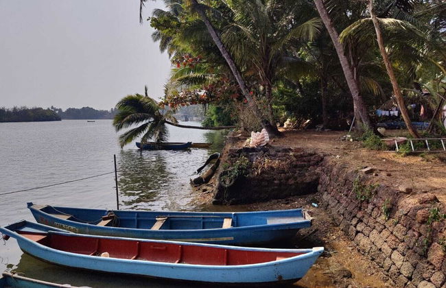 Jacks Place - Foto 12