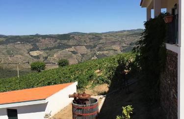 Quinta dos Espinheiros - Foto 61