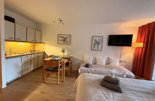 FeWo Pool, Sauna, Wellness, Gartenterrasse ENGELMEER - Foto 7