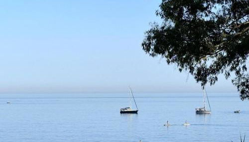 Apartamento Seghers Estepona Playa y Sol - Photo 4