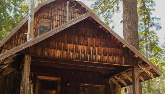 Redwood Grove in Sequoia and Kings Canyon National Park - Foto 2