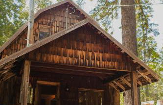 Redwood Grove in Sequoia and Kings Canyon National Park - Foto 2