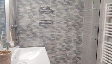 Studio Idéal Curistes Ascenseur WiFi - Foto 4, Shower