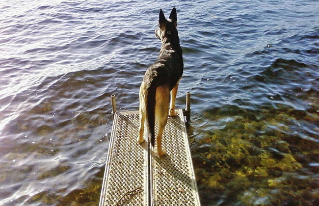 Roof House Near Dummer See With Rowing Boat - Foto 8
