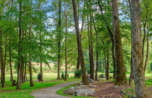 Blue Ridge View Pet Friendly, Deck, Grill - Foto 31