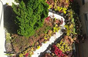 Kitnet Shekinah - Foto 10