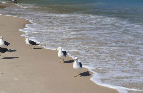 Andorinhas "Mini casa de hóspede" - Foto 55