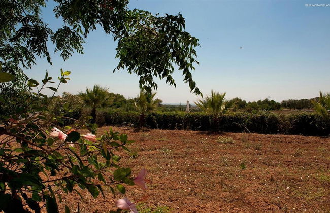 in Uggiano Casamassella - Foto 12