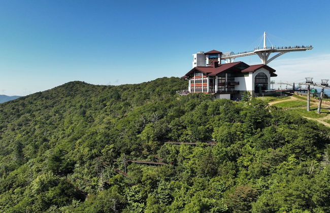 Mona Yongpyong Tower Condominium - Photo 61