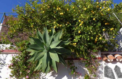 RURAL HOUSES SERAFIN Casa Rural Serafin THE BEST VIEWS - Foto 12