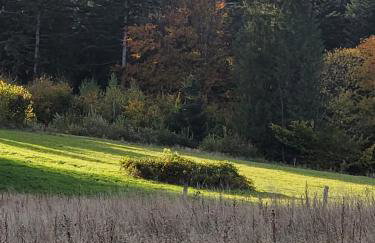 Domek u Hołąbków - Foto 35