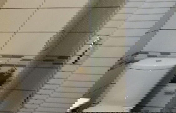 Amazing Stone villa - Foto 35