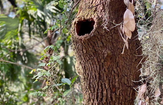 Everglades Day Trip - Photo 4
