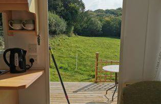 Meadow Bluebird - Foto 7