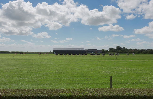 Holiday Home in Oostkapelle Near Beach - Foto 6