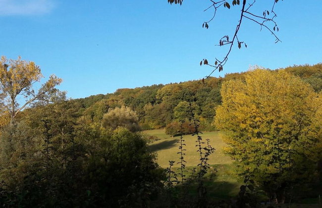 Special Hillside Lodge, Near Maastricht - Foto 30