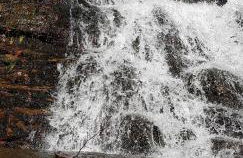 Ferienwohnung Wildgatter - Photo 32