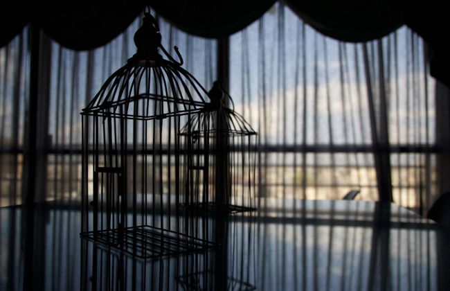 Departamento Céntrico Guadalajara - Foto 73