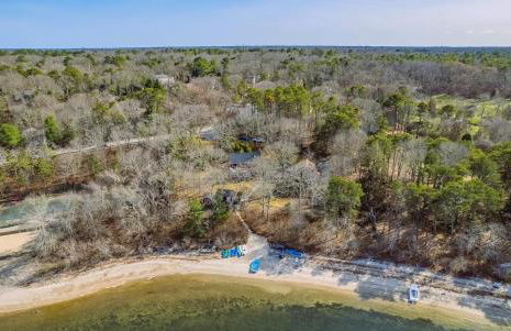 Pond Treasure - Foto 2