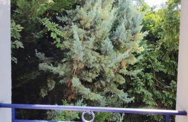 Villa Stella - 10 chambres - 5 salles de bains - Château de Versailles à pied - Foto 53