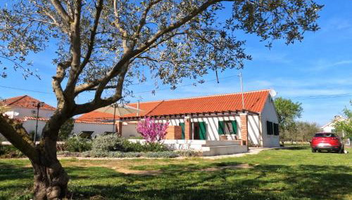 Vacation Home Zdravko - Foto 2, Garden, Garden view