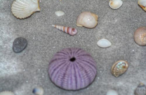 Apartment Nadoveza - Foto 31