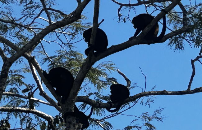 Peaceful Apartment in Tamarindo, 50m to the Beach - Photo 42