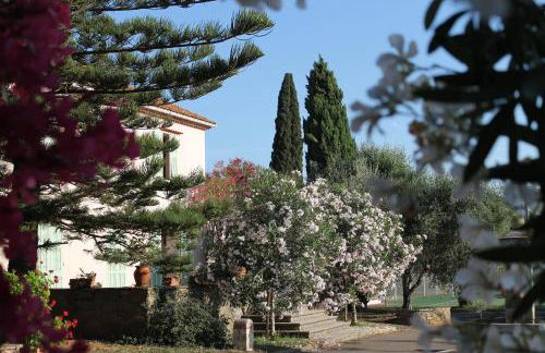 Domaine Le Clos des Oliviers - Foto 34