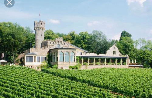 1.0 Relaxen am Kloster Johannisberg - Foto 19