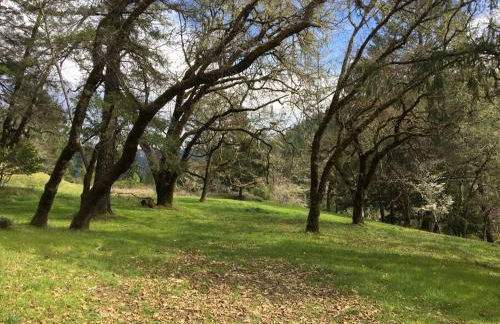 Avenue of the Giants River View Home (#1) - Foto 38