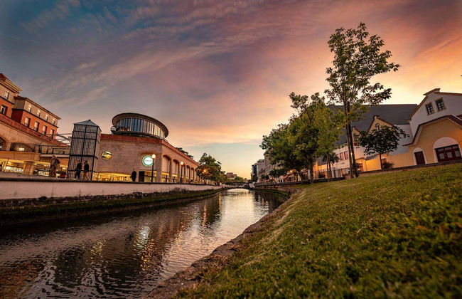 Free tour nocturno por Aveiro - Foto 4