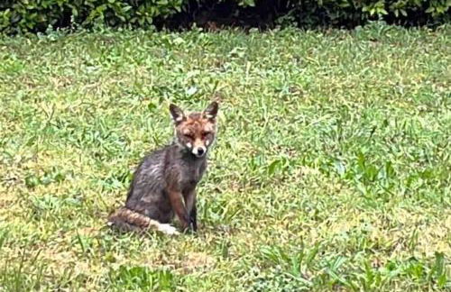 Tuscany country house, Poggio Vitale - Foto 76