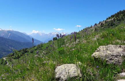 Apartment Cerise - Foto 34