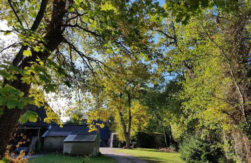 Ferienhaus Hof Amelung - Foto 23