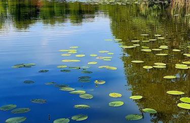 Szczodre Sybillenort blisko Wrocławia - Photo 25